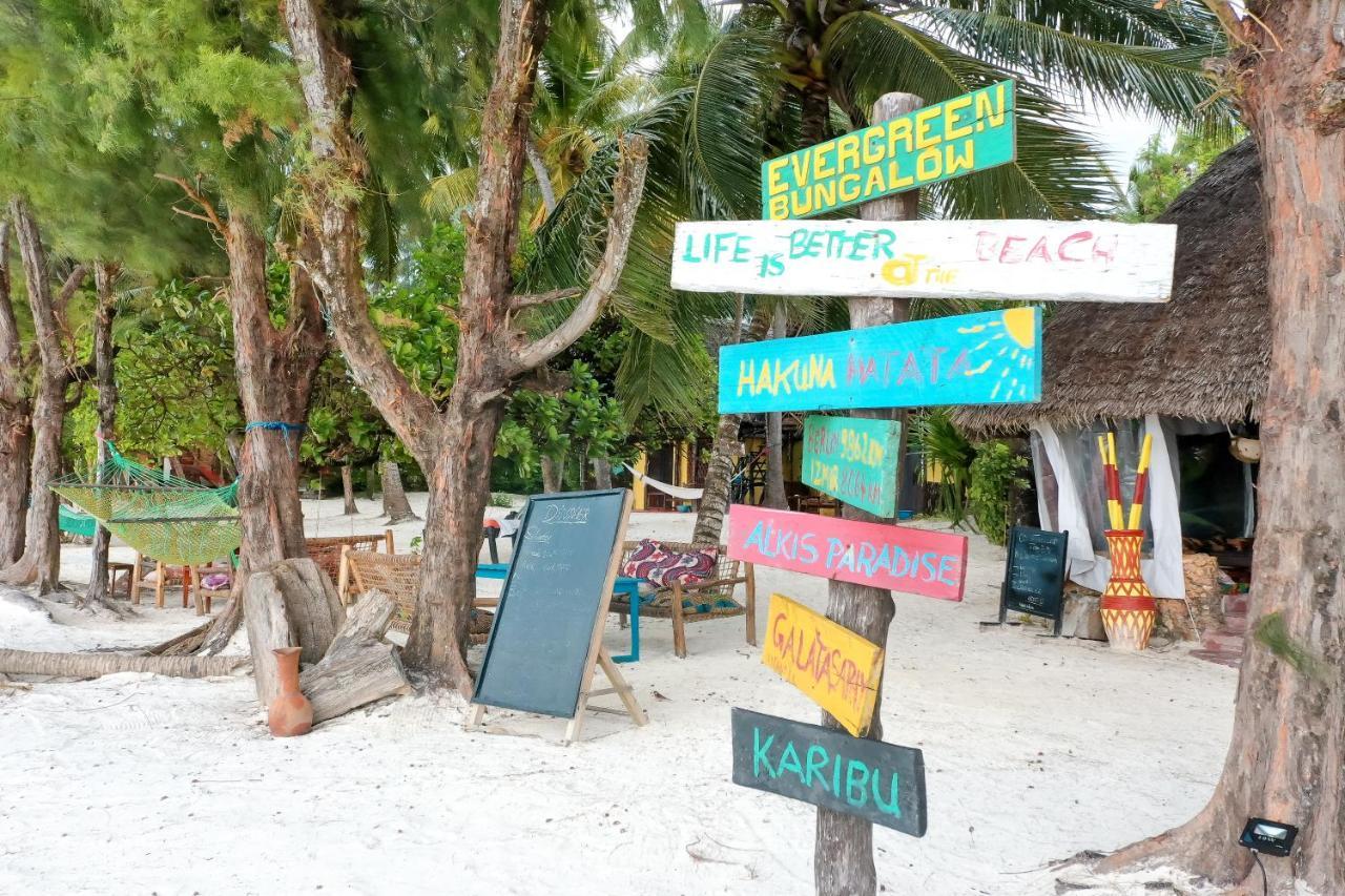 Evergreen Bungalows Bwejuu Exteriér fotografie